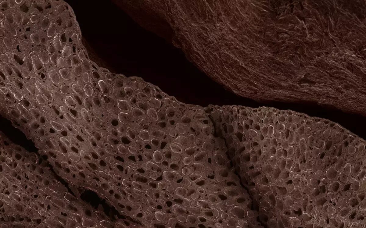Tgm macro