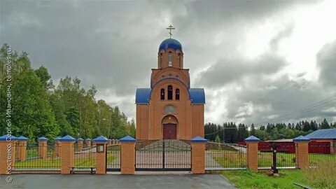 Кобрино гатчинский