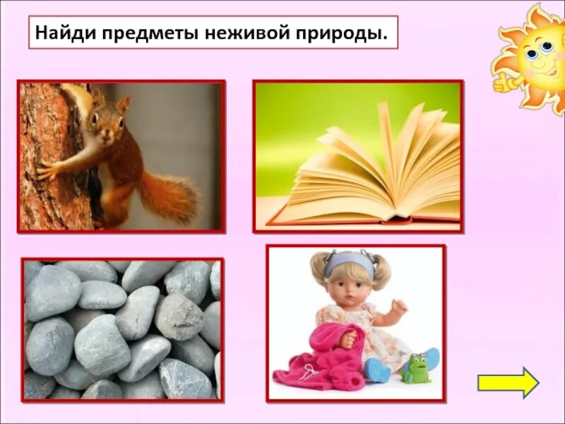 Включи неживая жизнь. Неживая природа. Предметы живой и неживой природы. Неживые предметы. Поделка неживая природа.