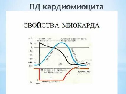 Сокращение миокарда
