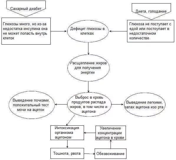 Запах голода. Сахарный диабет запах ацетона изо рта. Запах ацетона при сахарном диабете причины. Почему запах ацетона при сахарном диабете. Запах изо рта ацетона ацетон в моче.