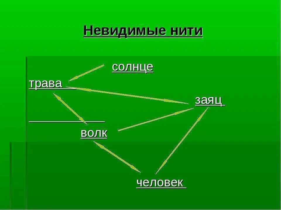 Схема невидимых нитей в весеннем лесу. Невидимая нить. Невидимые нити 2 класс окружающий мир. Невидимые нити солнце трава заяц волк. Невидимые нити 2 класс окружающий мир схемы.