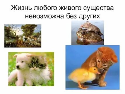 Как называют любой предмет любое живое существо