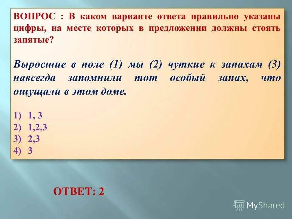 стих поле иван никитин. камыш в степи. причастие чуткие к запахам. светлая душа. донская ковыльная степь.