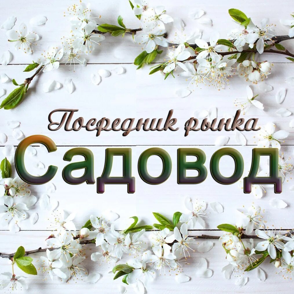 Рынок посредников. Посредник садовод. Садовод 10%. Садовод 10%. Посредник садовод картинки.
