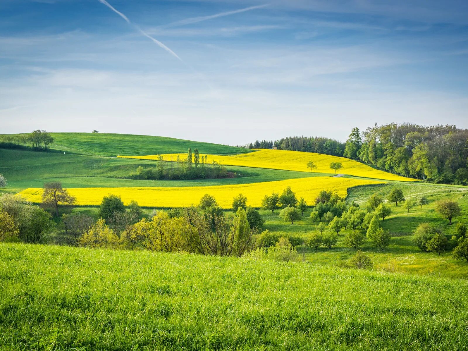Холм кёнигсштуль. Грин маунтин гора. Небо зелень. Зеленью край. Густые кусты.