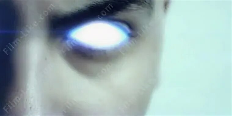 глаза кошки ночью. светящиеся кошачьи глаза. шнуров концерт светящиеся глаза. концерт светятся глаза. мутное свечение в глазах.