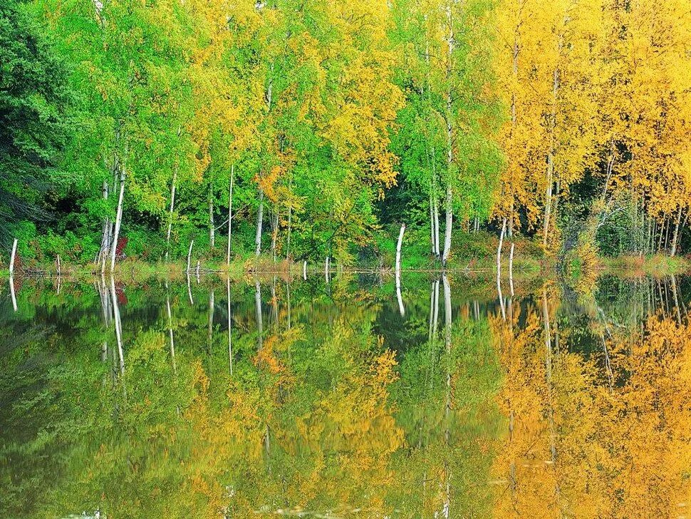 Картинка времена года осень. Лето осень. Природа и времена года. Осень с летом.