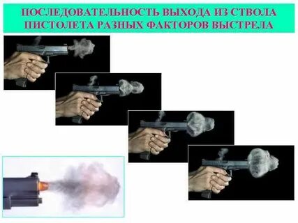 Эхо выстрела