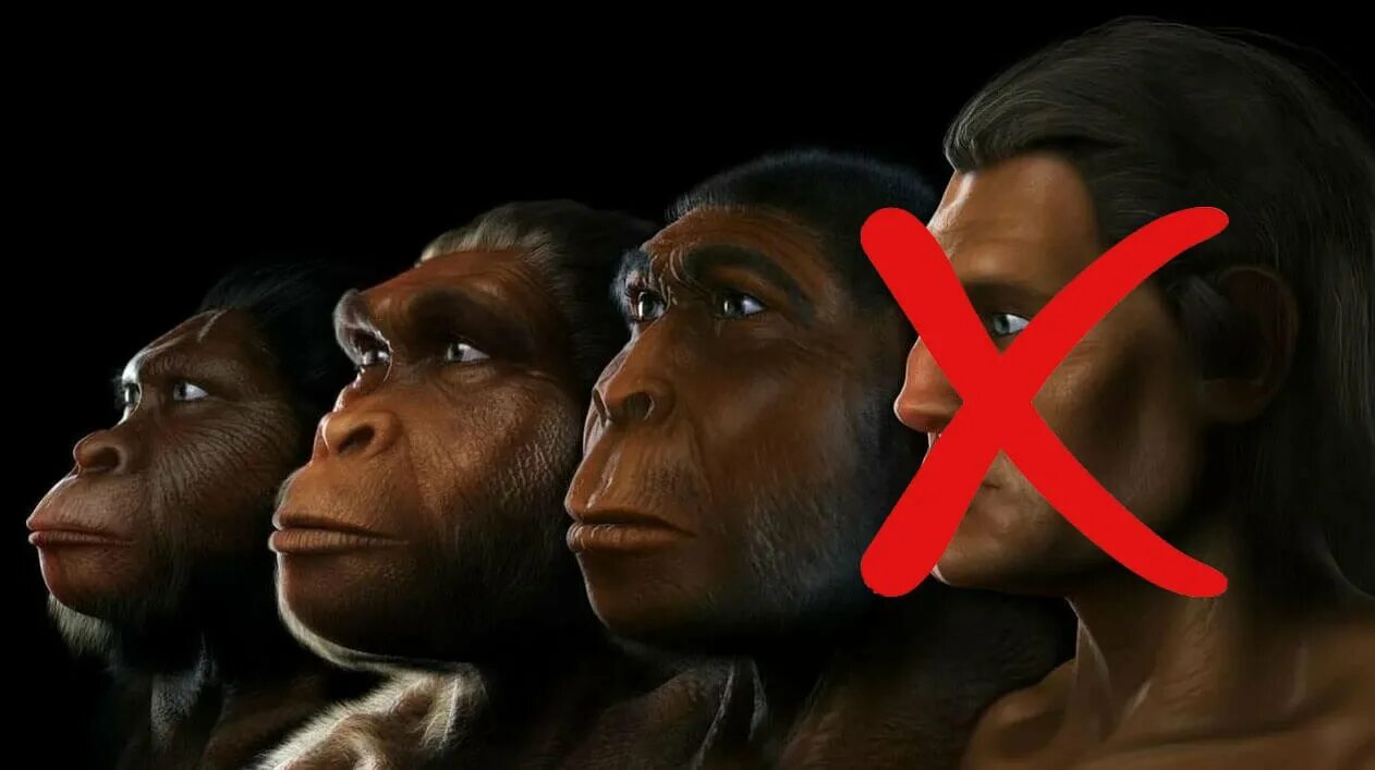 На земле осталось 2 человека. Австралопитек питекантроп неандерталец. Питекантроп неандерталец сапиенс. Хомо сапиенс и хомо хабилис.