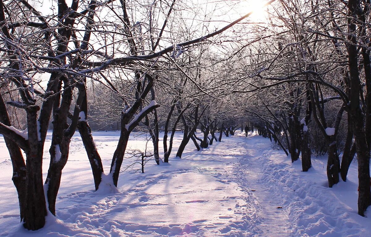 зима любовь. виват басов правда и ложь. пара зимой. зимний зимний белым пламенем объят. метель и двое влюбленных.