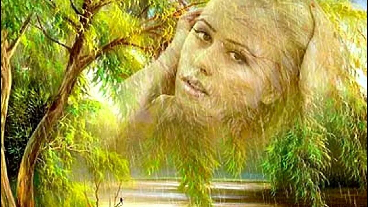 Плакала ива. Горько плакала Ива. Ах Ивушка Ива. Горько плакала Ивушка. Девушка у плакучей ивы.