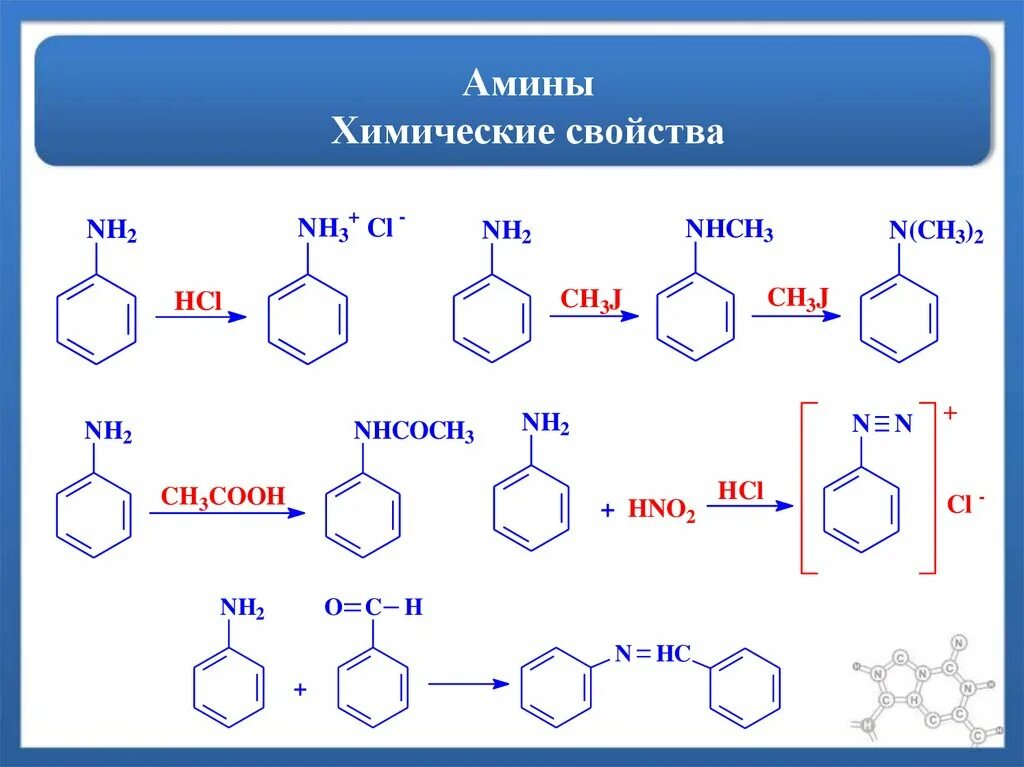 Ароматические Амины химические свойства. Химические свойства первичных Аминов. Первичные Амины химические свойства. Химические свойства вторичных Аминов. Амины проявляют основные