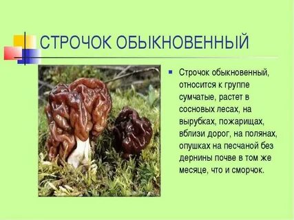 Какие строчки можно есть