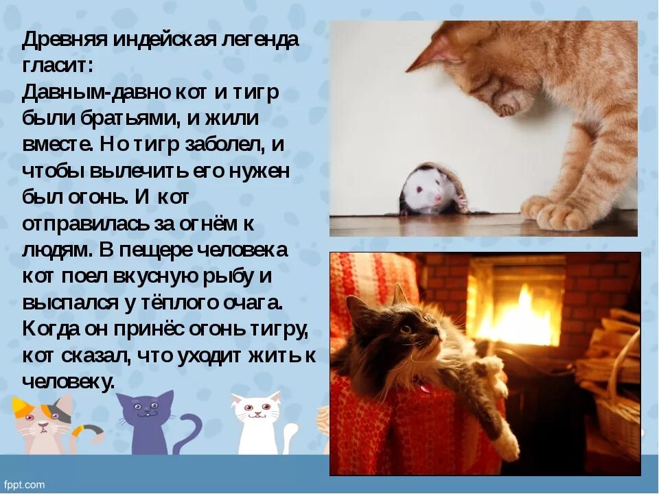 Легенды о животных 2 класс
