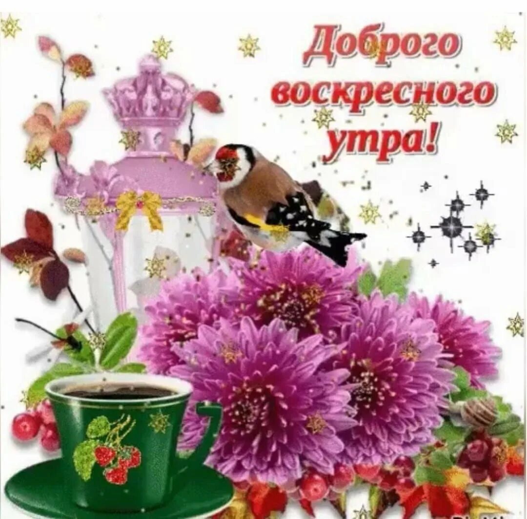 Доброе утро воскресенье апрельское. Открытки с добрым утром воскресенья. открыточки с добрым утром воскресенье. доброе утро воскресенья пожелания. открытки с добрым воскресным утром.
