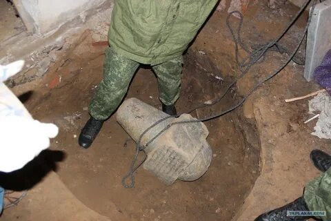 Нашел в погребе