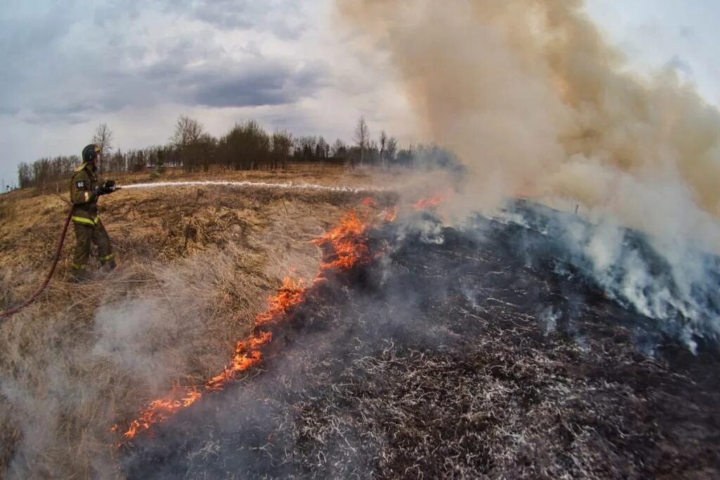 Лесной пожар в Сергиев Посаде. Пожар в Сергиево-Посадском районе. Пожар в Сергиевом Посаде на Лесной.