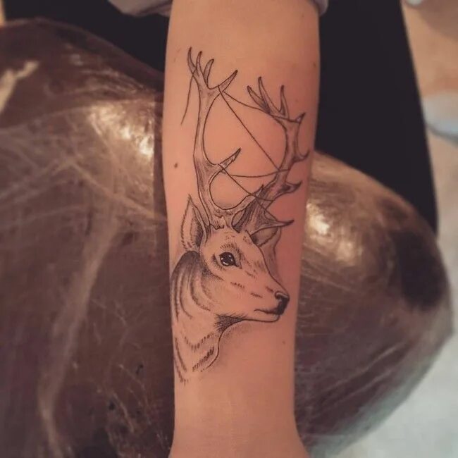 Deer studio