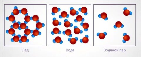Все молекулы одного и того же вещества