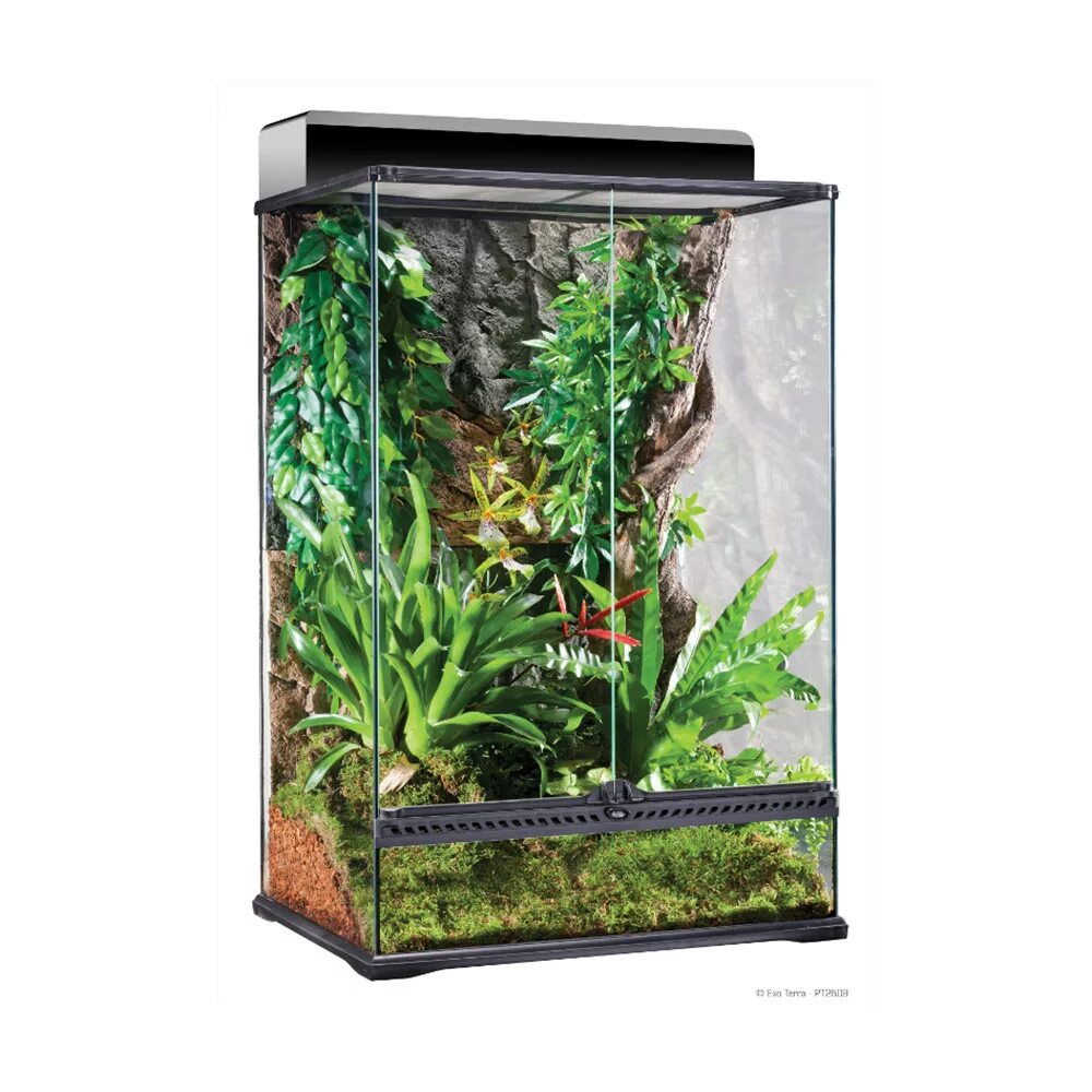 Террариум terra. Террариум terra. Террариум exo terra 45x45x60. Террариум terra. Террариум exo terra 45 45 30.