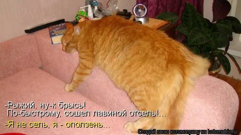 А мне что не можно