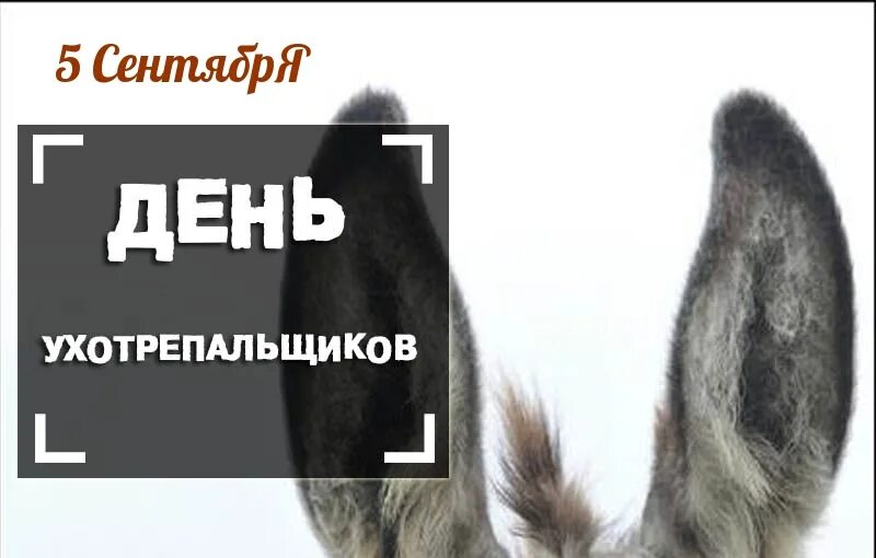 Ночь 5 сентября. 5 сентября день. день ухотрепальщиков. день ухотрепальщиков 5 сентября картинки. день опозданий праздник.