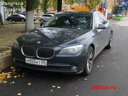 Автору 55