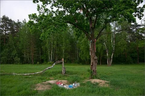 Поляна казань