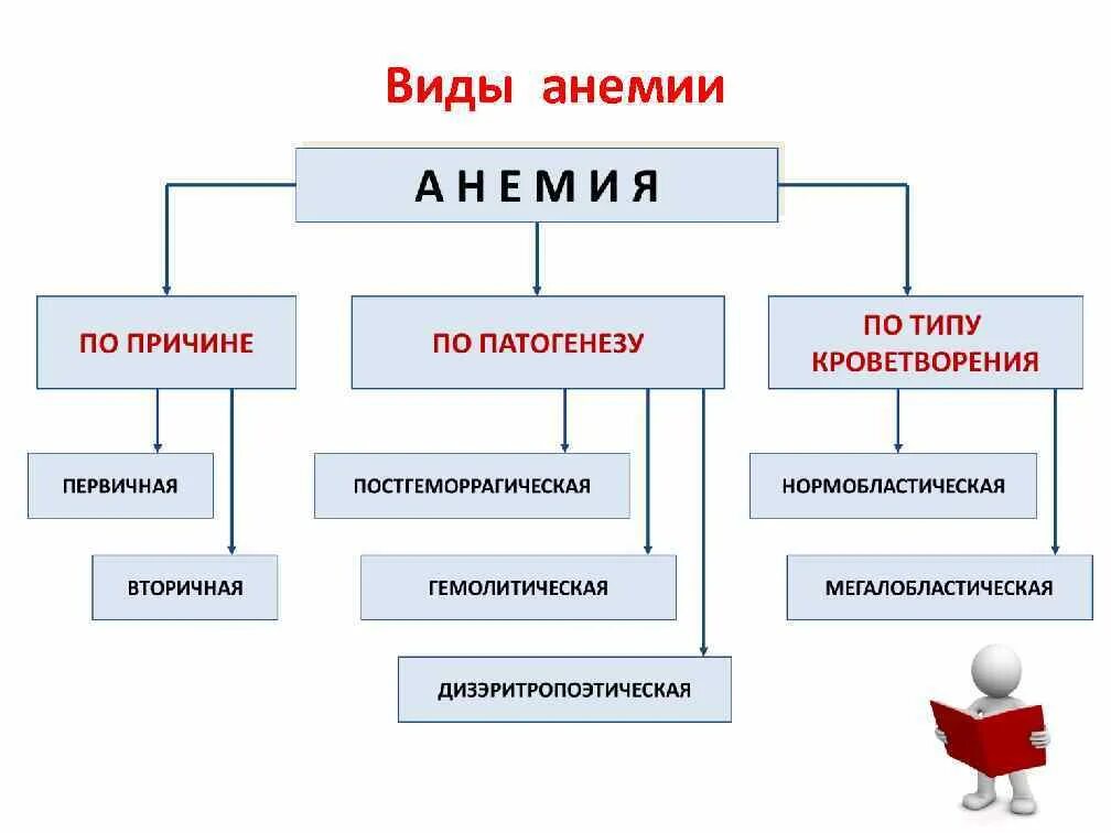 Виды анемии у человека