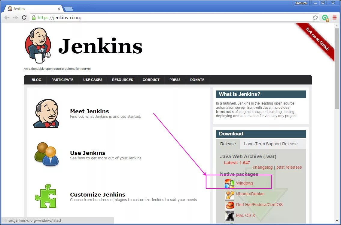 Jenkins find. Jenkins (программное обеспечение). jenkins install. jenkins windows. jenkins настройка.