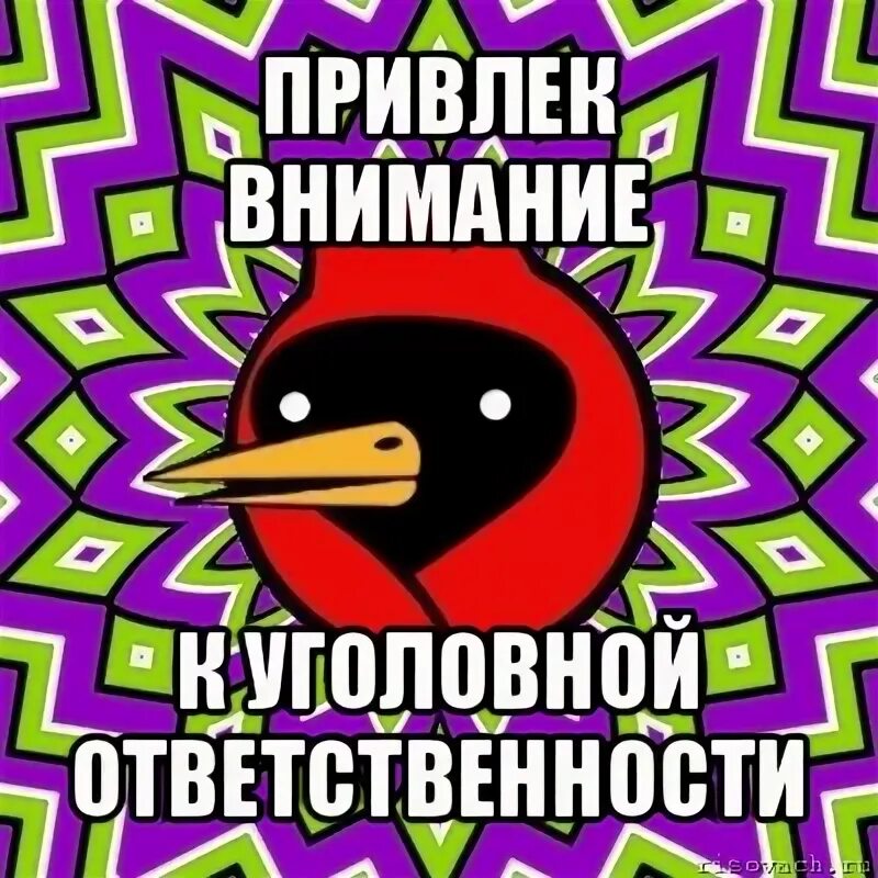 Мем обратите внимание. Омская птичка мем. омская птица мемы. заманивает мем. созрел план мем.