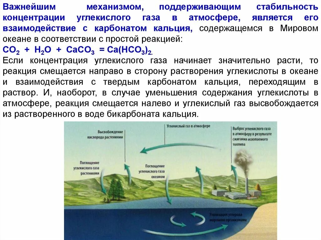 Воздух является раствором. Концентрация углекислого газа. Биогенный круговорот веществ. Загрязнение атмосферы круговорот. Круговорот углекислого газа в мировом океане.