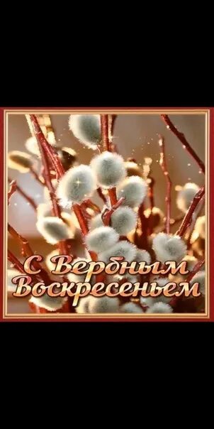 Какого числа вербное воскресенье 2025 г. С вербным воскресеньем. вебрные воскрес.
