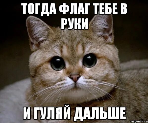 Давай гуляй