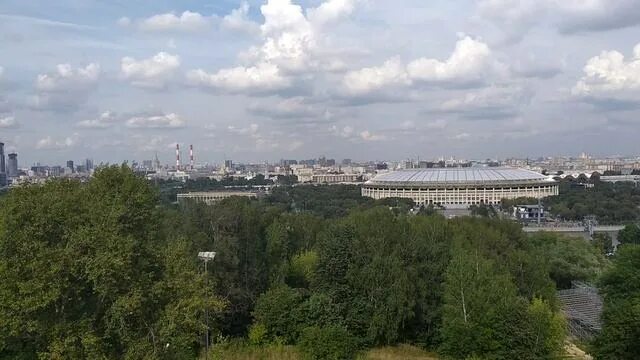 Природный заказник воробьевы горы. Воробей горы москва парк. Воробьевы горы видео. Парк мгу на воробьевых горах. Парк ленинские горы москва.