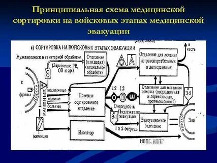 Медицинская сортировка схема