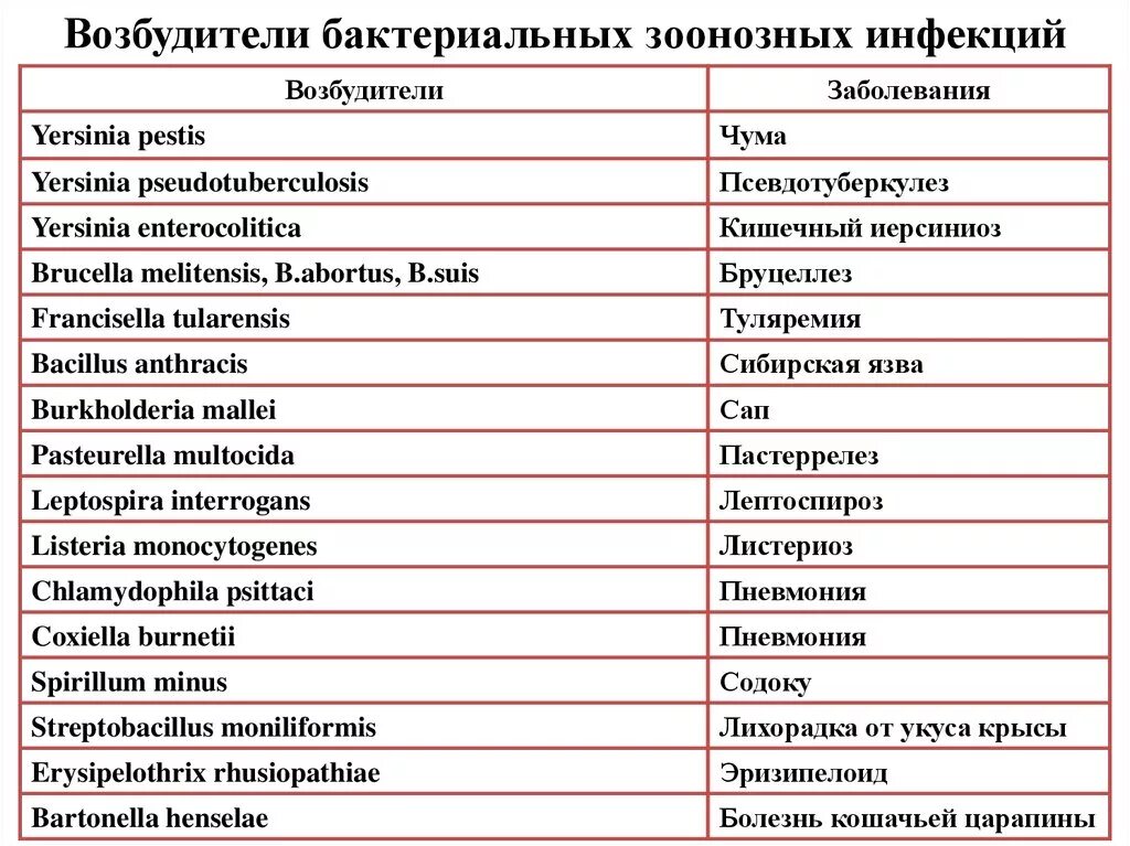 Болезни на букву к. Таблица возбудителей инфекционных заболеваний микробиология. Возбудители инфекционных заболеваний латынь. Возбудители бактериальных зоонозных инфекций. Болезни и возбудители таблица.