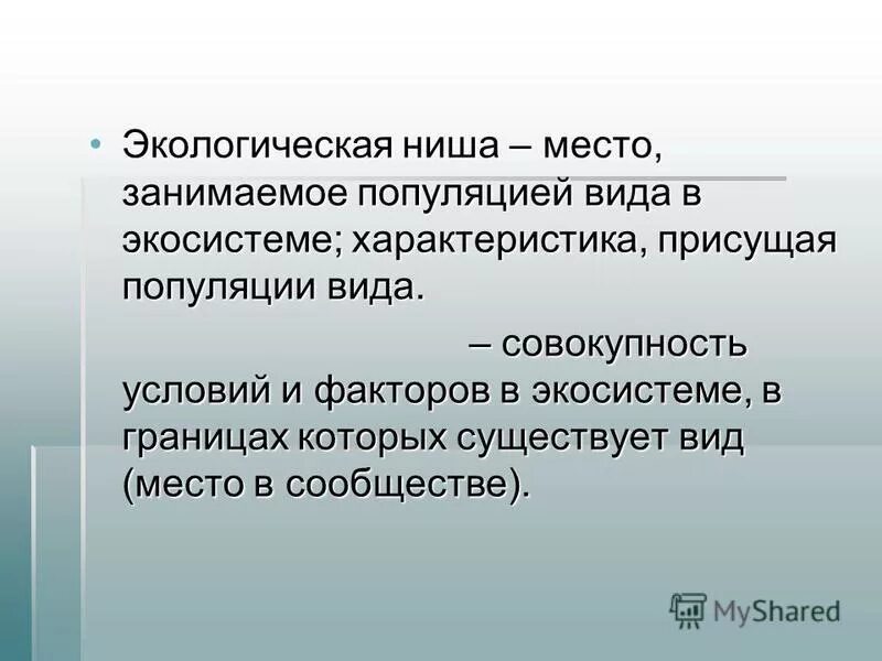 Экологическая ниша белого медведя