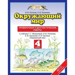 Окружающий мир 2 класс тетрадь для контрольных