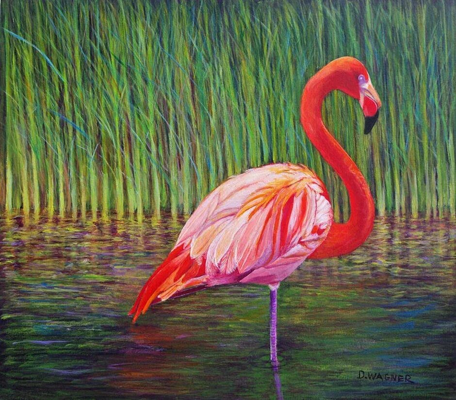 Фламинго рисунок. Фламинго 39343. Фламинго цветными карандашами. Фламинго срисовать. Фламинго рисование.