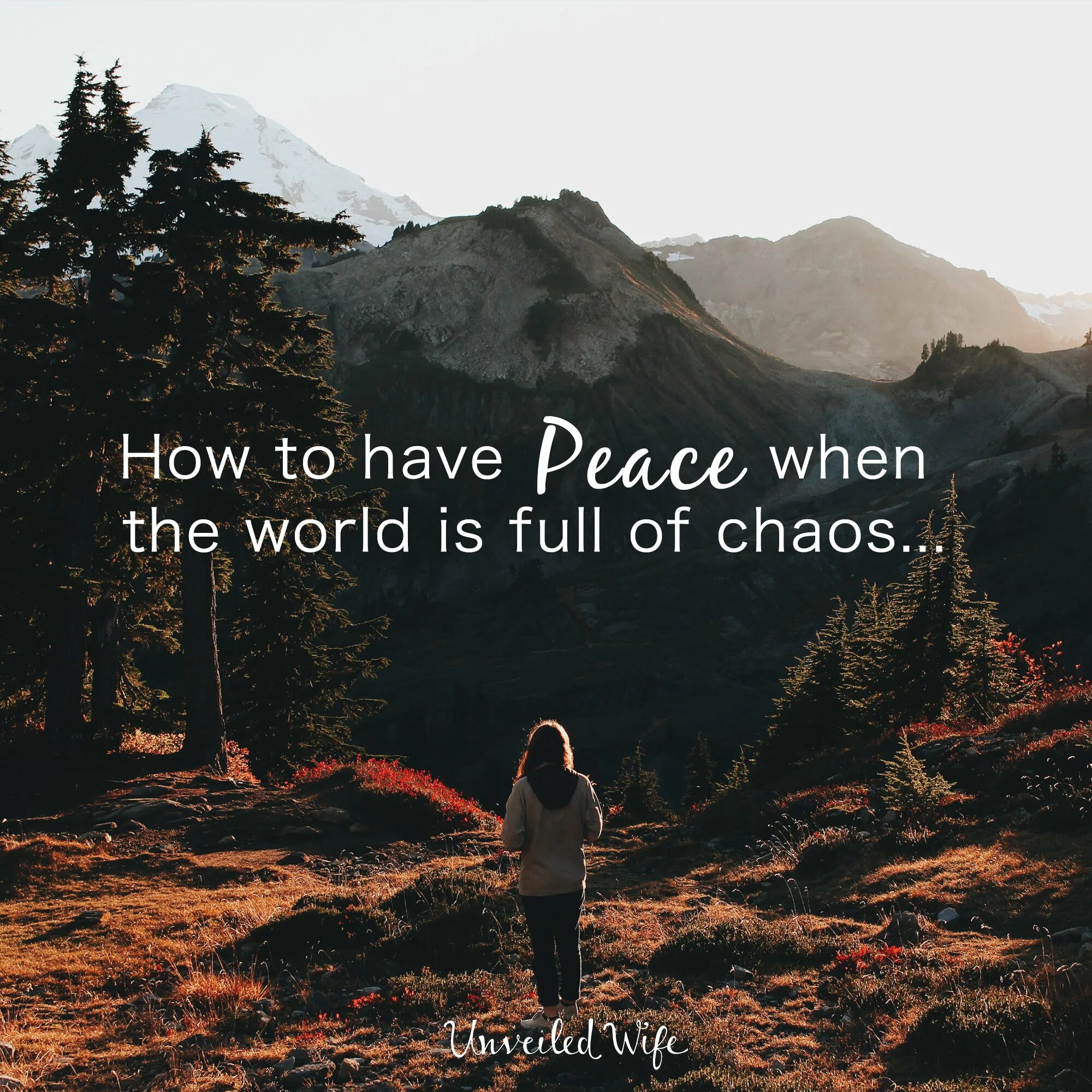 Peace when. In a world full of chaos. chaos and peace.