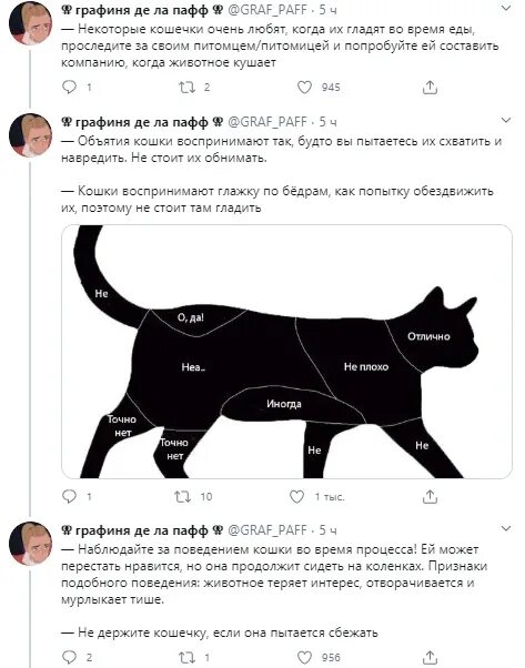 Почему кошки когда их гладишь