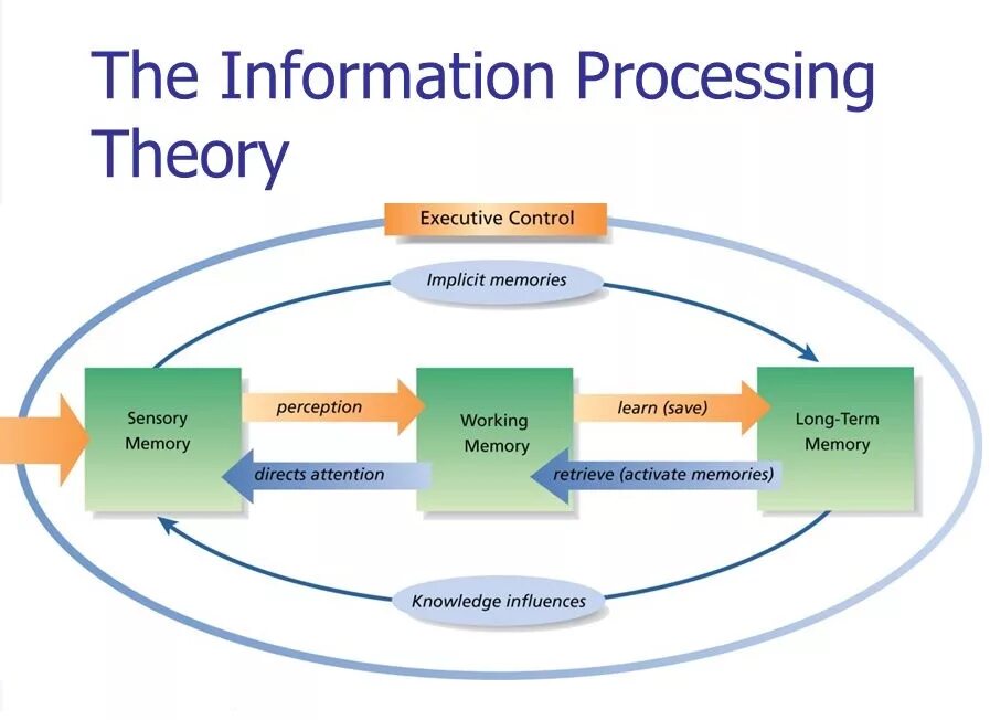 Learn processing. Information processing. information processes. information processing theory of cognitive development. information and information processes.