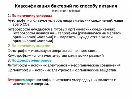 Питание микроорганизмов микробиология