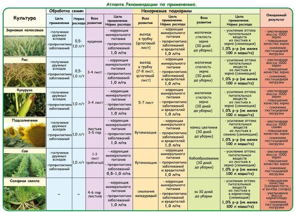 Подкормка деревьев минеральными удобрениями. Удобрения для овощных культур таблица подкормки. таблица подкормок овощных культур минеральными удобрениями. подкормка овощей удобрениями таблица. схемы подкормки цветов и овощей.
