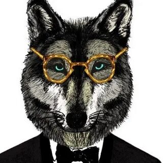 Mr wolf