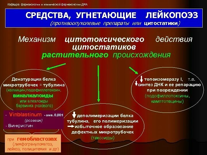 Цитостатики механизм действия. Цитостатики клиническая фармакология. Механизм действия цитостатиков растительного происхождения. Цитостатики препараты механизм действия. Цитотоксические препараты