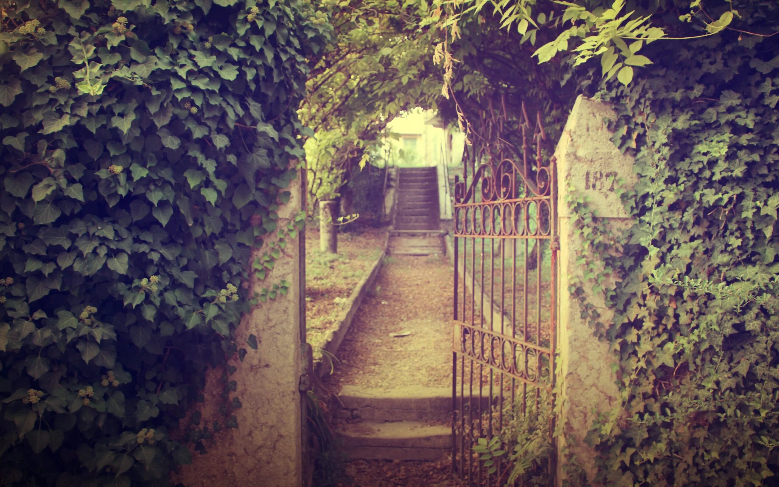 Гуляют ворота. Плющ ворота поместье. Старый заброшенный сад. Старинные ворота. Стена увитая плющом.