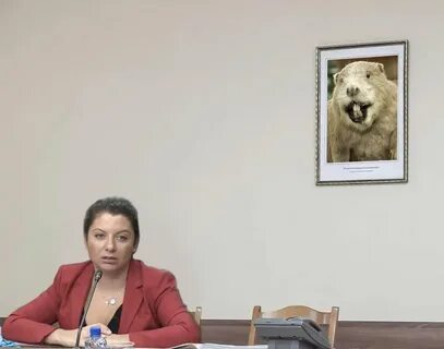 Боброедка